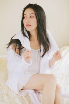 亚尔斯兰战记